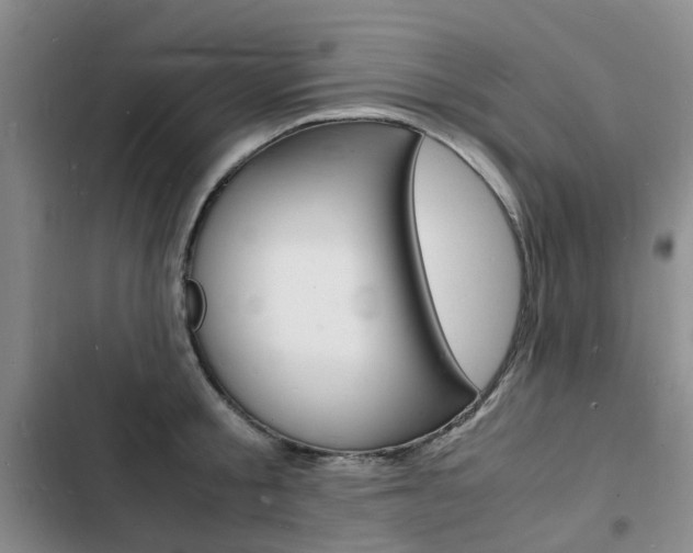 X0000103250805200808281055