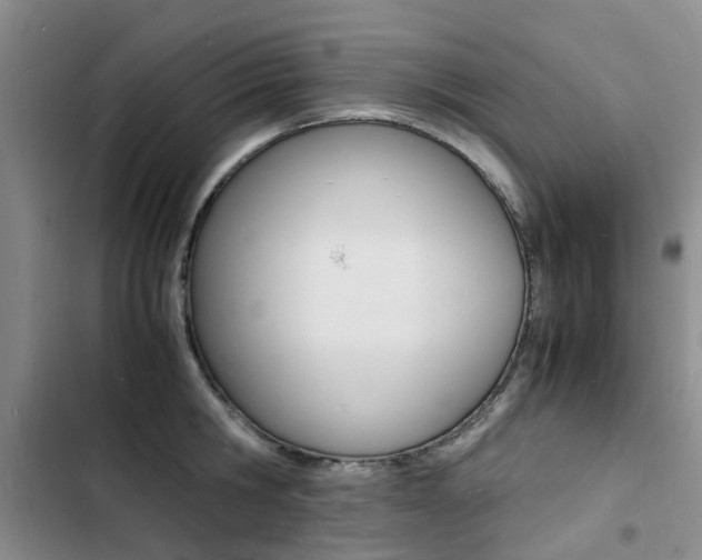 X0000103250806200808281055