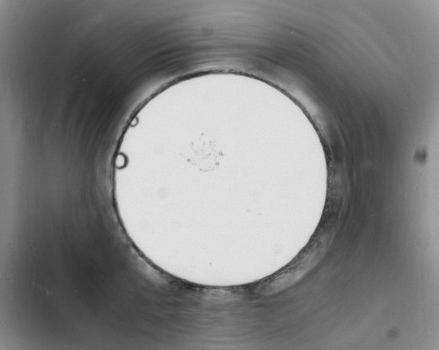 X0000103250807200808281055
