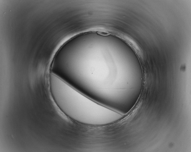 X0000103250808200808281055
