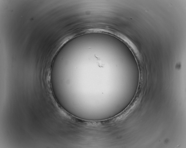 X0000103250809200808281055