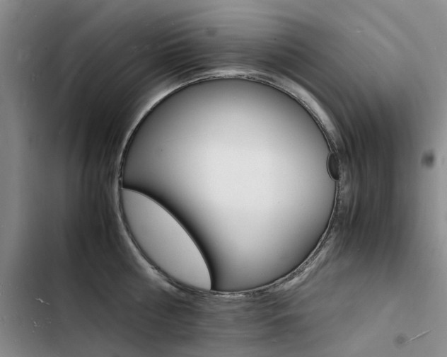 X0000103250810200808281055