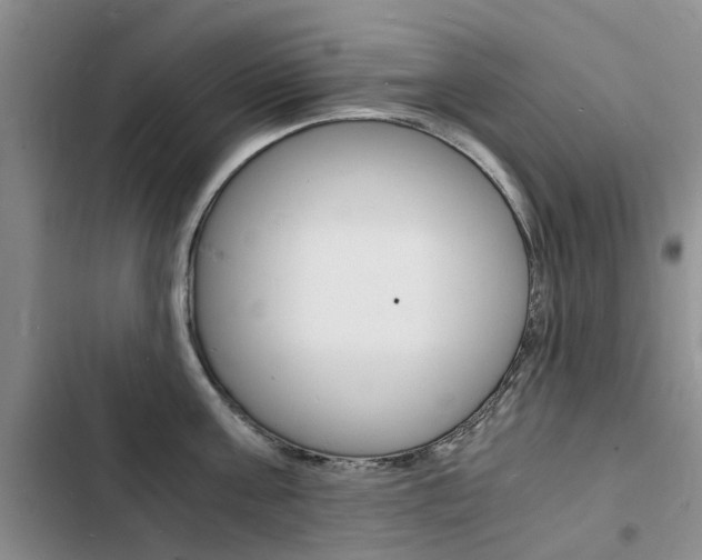 X0000103250811200808281055