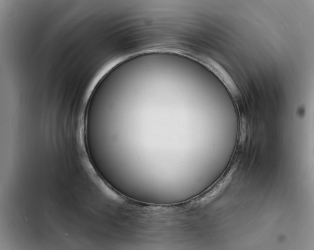 X0000103250812200808281055