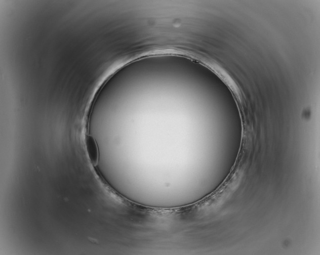 X0000103250813200808281055