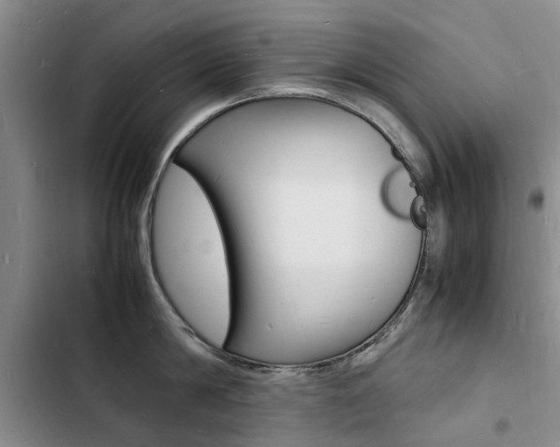 X0000103250814200808281055
