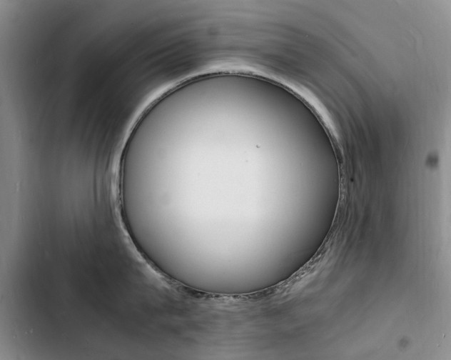 X0000103250815200808281055