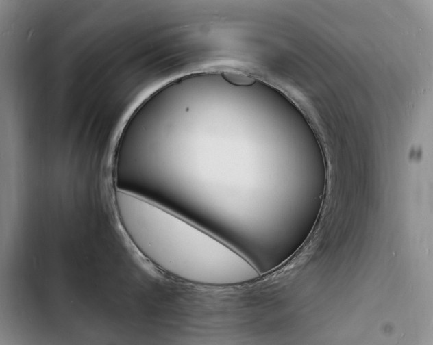 X0000103250816200808281055