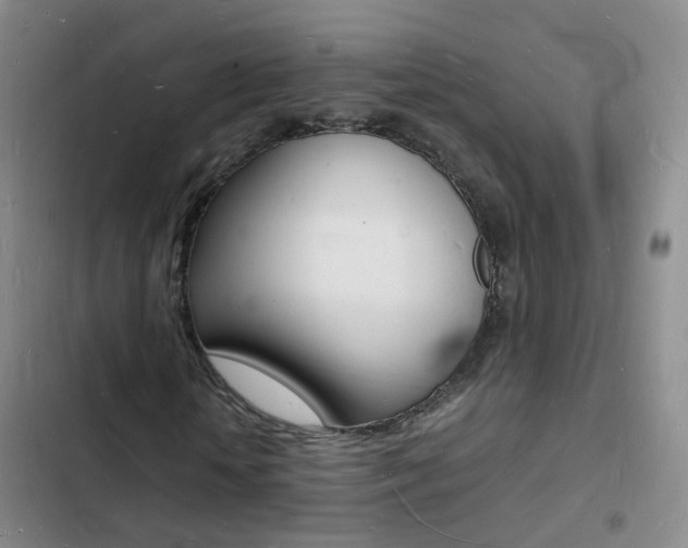 X0000103250818200808281054