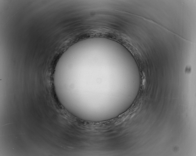 X0000103250819200808281054
