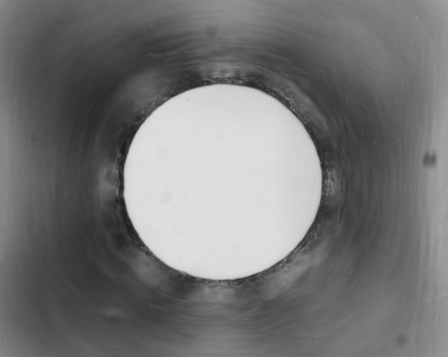 X0000103250820200808281054