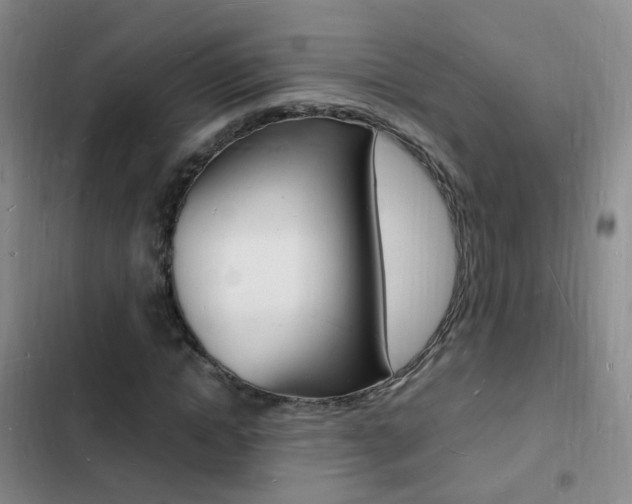 X0000103250822200808281054