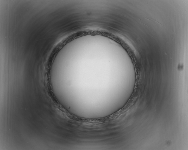 X0000103250823200808281054