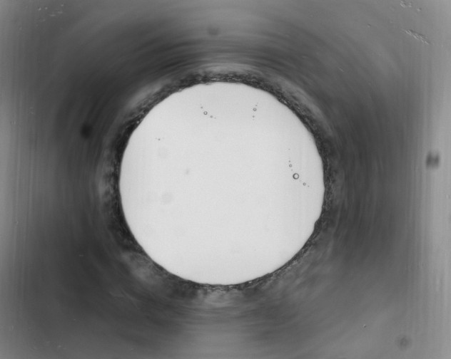 X0000103250824200808281054