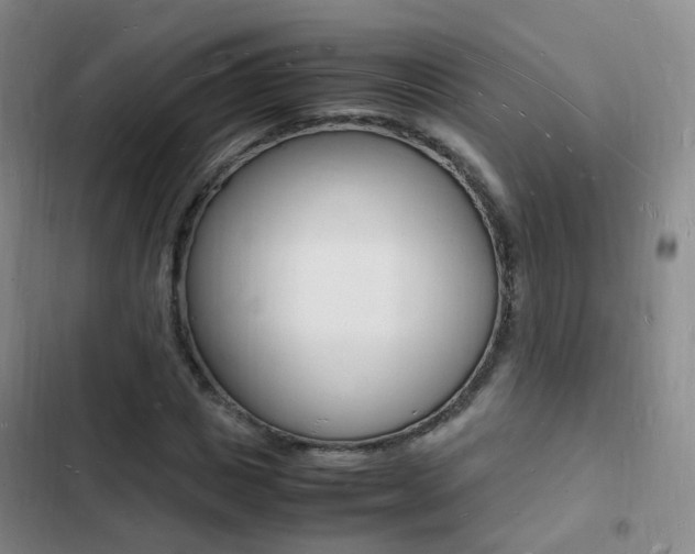 X0000103250825200808281054