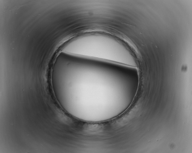X0000103250826200808281054