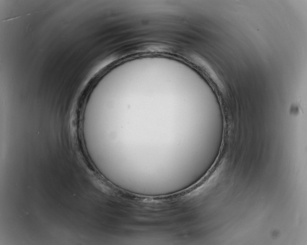 X0000103250827200808281054