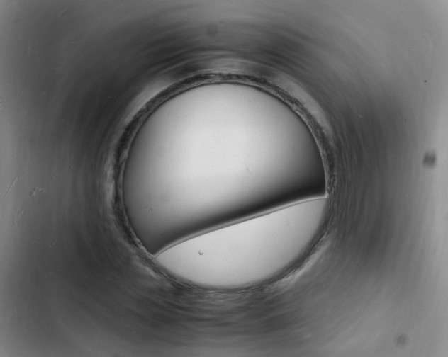 X0000103250829200808281054