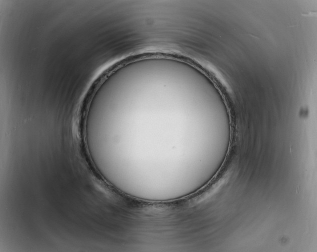 X0000103250830200808281054