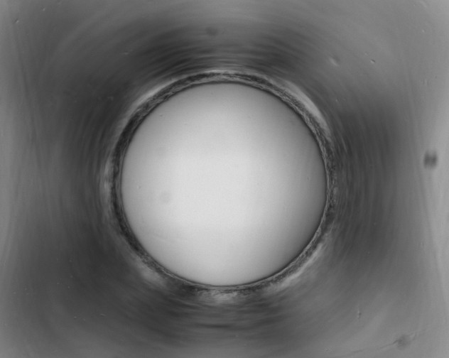 X0000103250831200808281054