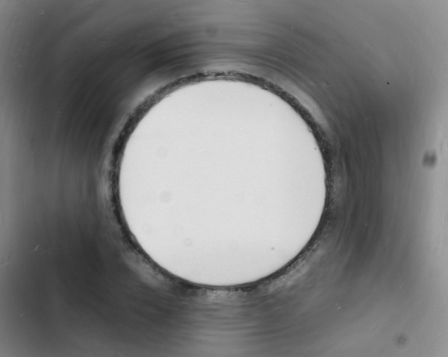 X0000103250832200808281054