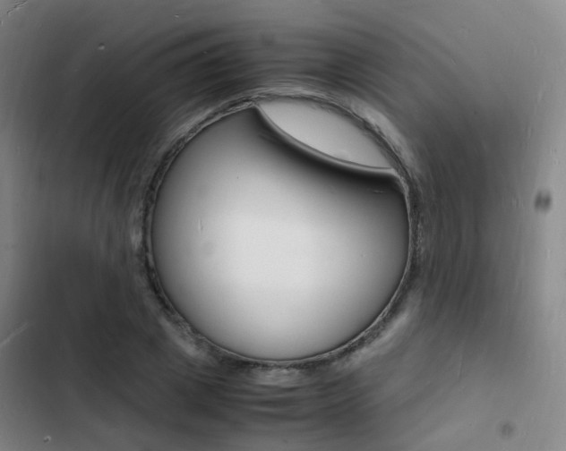 X0000103250833200808281054