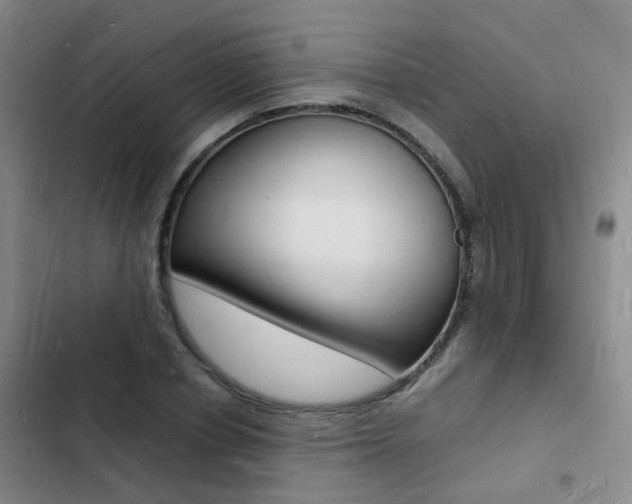 X0000103250834200808281054