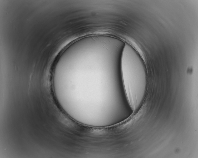 X0000103250835200808281054