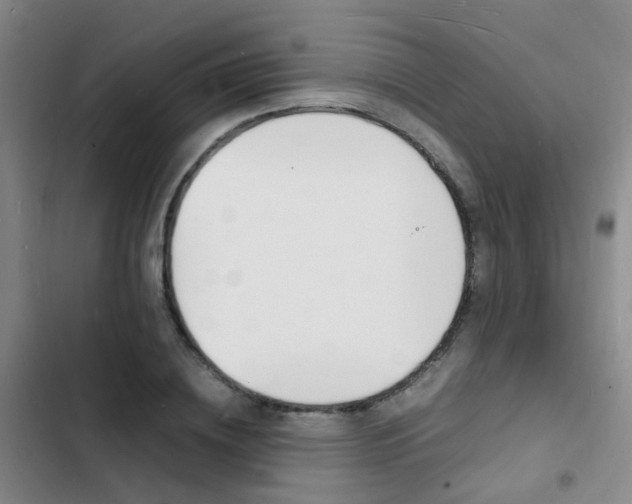 X0000103250836200808281054