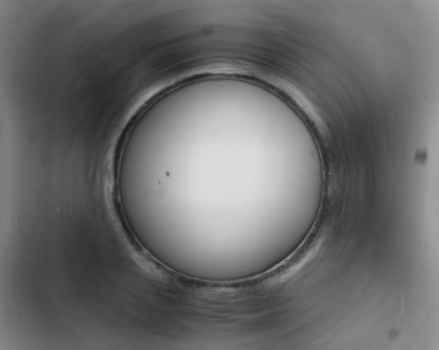 X0000103250837200808281054