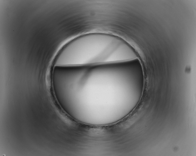X0000103250838200808281054