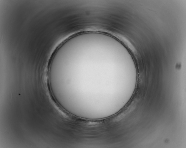 X0000103250839200808281054