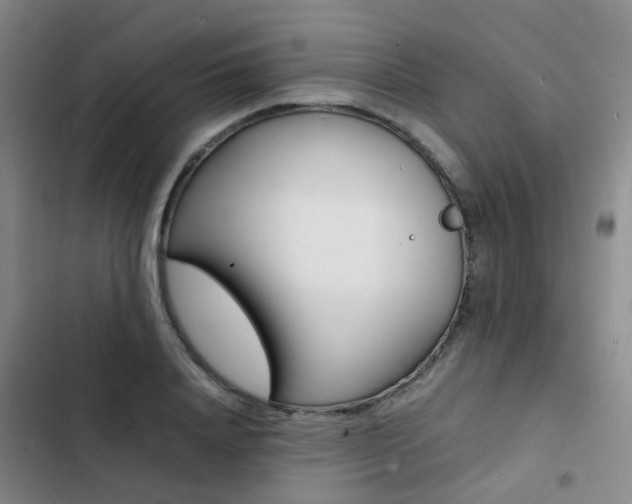 X0000103250840200808281054