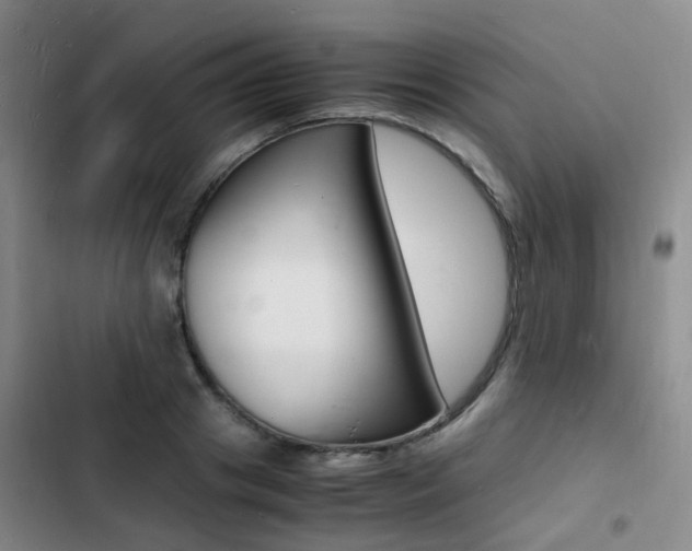 X0000103250841200808281054