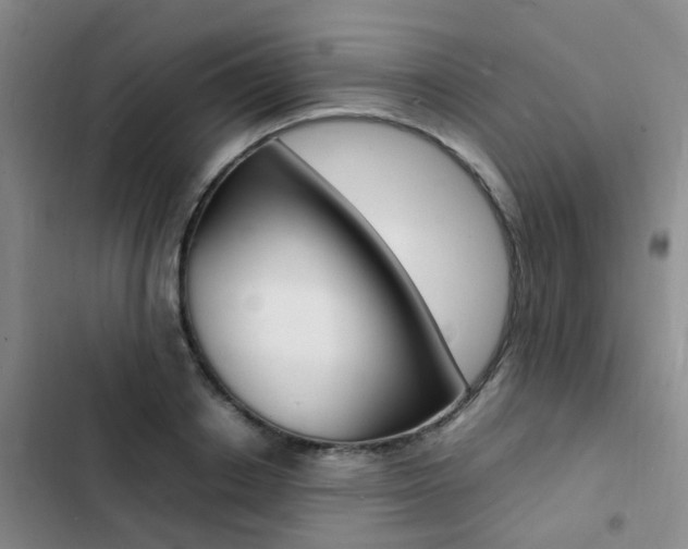 X0000103250842200808281054