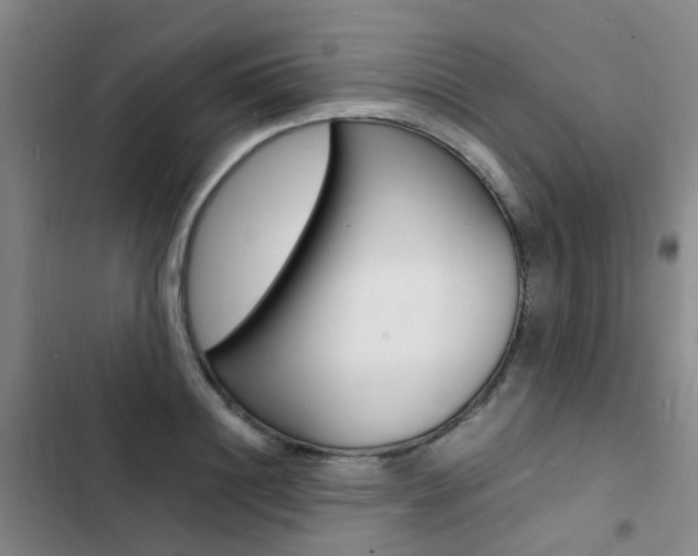 X0000103250844200808281054