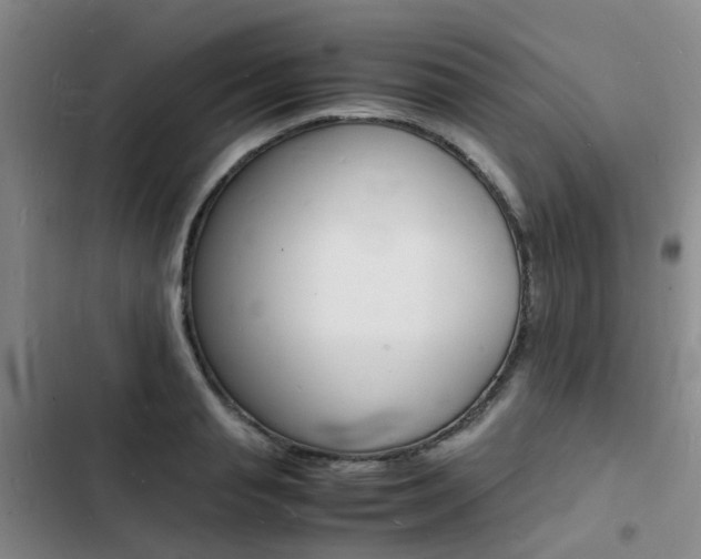 X0000103250845200808281054