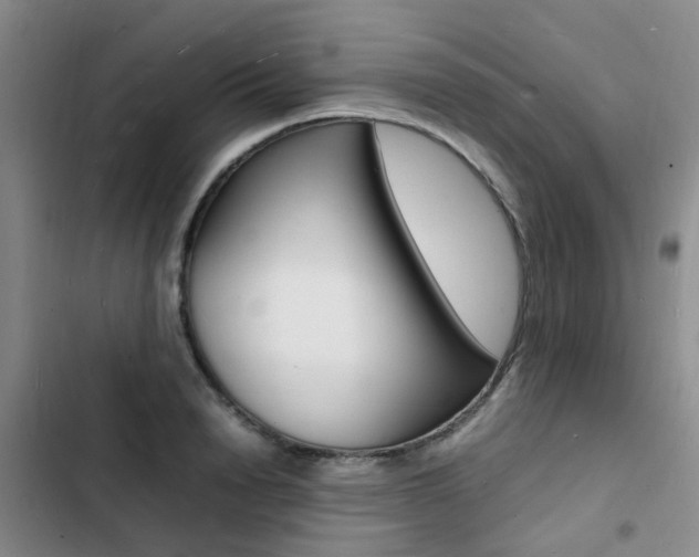 X0000103250846200808281054