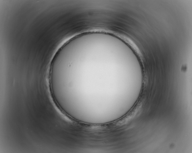 X0000103250847200808281055