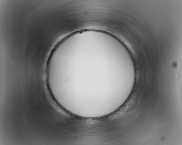 X0000103250848200808281055