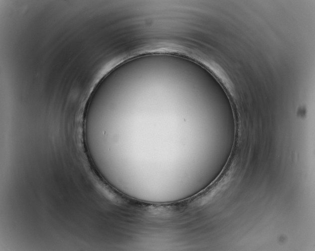 X0000103250850200808281055