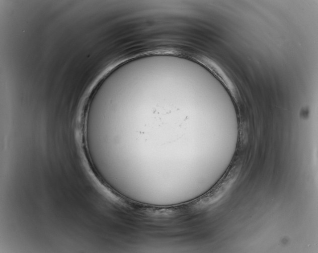 X0000103250851200808281055