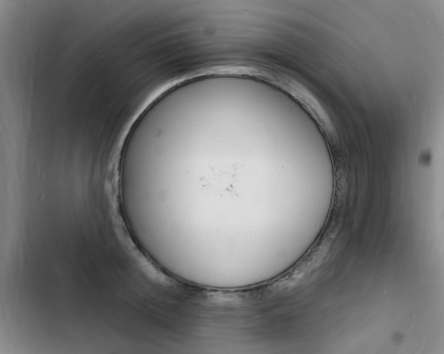 X0000103250852200808281055