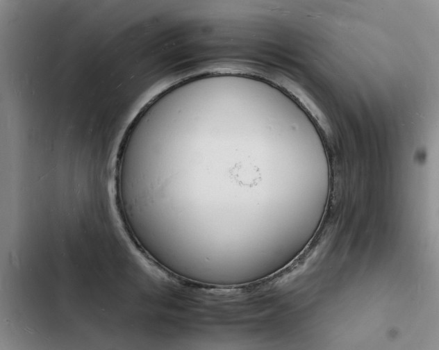 X0000103250853200808281055