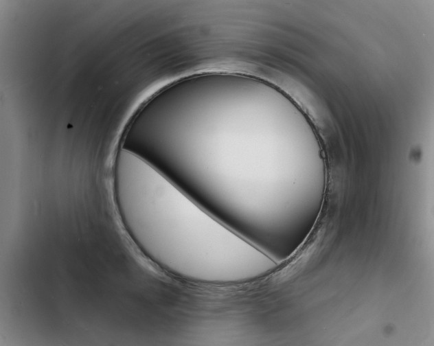 X0000103250854200808281055