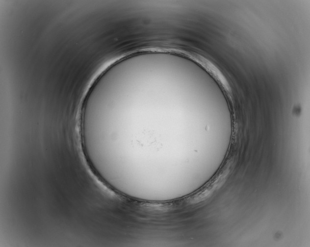 X0000103250855200808281055
