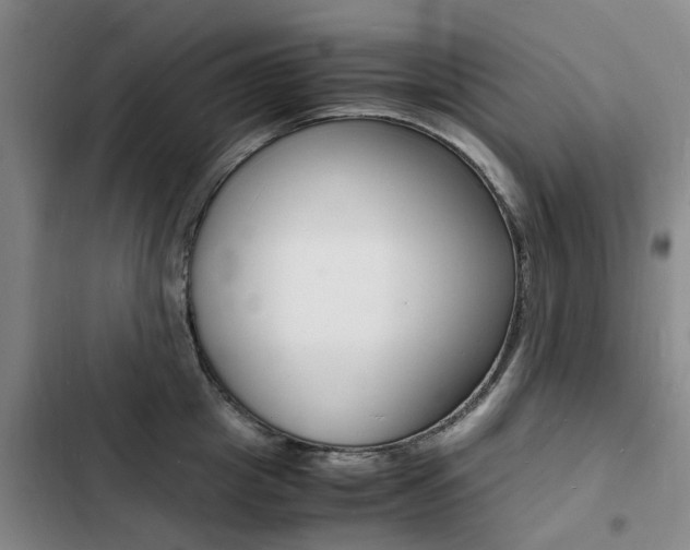 X0000103250857200808281055