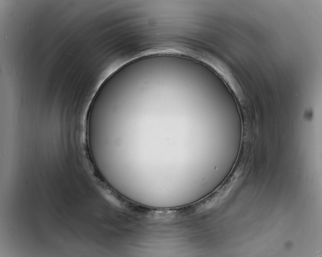 X0000103250858200808281055