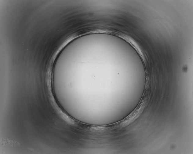 X0000103250859200808281055