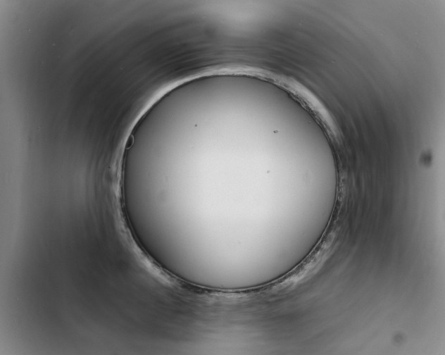 X0000103250860200808281055